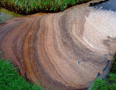 De wind heeft alle kleuren bruin op een heerlijk palet gewaaid.
Een hele buik vol.
Bij een volgende foto zal ik het in detail laten zien.
Dan is het onherkenbaar, vandaar dat ik nu eerst deze toon.