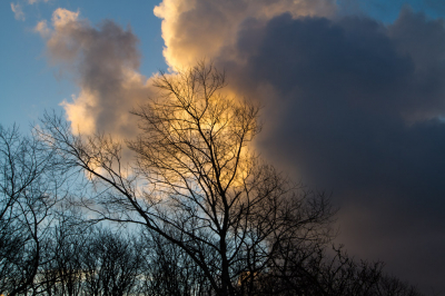 Tijdens schemering op pad gegaan. Ik wilde wat foto's maken van de zonsopgang en verder gewoon genieten van wat de natuur te bieden heeft. Een plekje bij de duinrand opgezocht en mijn statief neergezet. Na een tijdje te hebben geluisterd en gekeken zag ik plots dit tafereeltje.