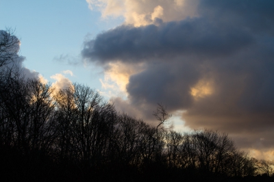 In het ochtend schemering op pad gegaan. Ik wilde wat foto's maken van de opgaande zon en wolken luchten. Het was koud en het waaide hard. Maar de omstandigheden waren ideaal. Lekker helder, zon en buien wisselden elkaar af. Echte Hollandse luchten. Het was wel afzien af en toe. Te lang stil staan op n plek betekende kou lijden. Wat ik mooi vind aan deze foto zijn de wolken en die aparte boom die uitsteekt.