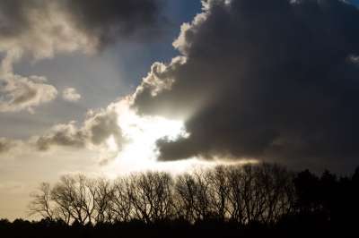 Vroeg uit de veren gegaan. Het was koud, bewolkt en het waaide hard. Vergeleken met mijn eerste foto op Nederpix ( 20-01-2016 ), heb ik adviezen opgevolgd en mijn manier van fotograferen aangepast. Ik heb de voorgrond een stuk kleiner gemaakt zodat de foto er minder somber uit ziet.