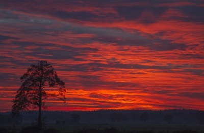 De lucht kleurde echt prachtig die avond.
Foto gemaakt vanuit de hand