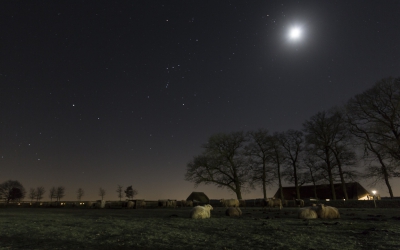 Gisterenavond lekker een avondje nachtfotografie gedaan. Schapen zijn een dankbaar onderwerp. Ze zijn wit (zolang ze niet zwart zijn ;) ), en absoluut niet schuw. Door de bevroren schapenkeutels kruipend kon ik ze rustig benaderen en tot deze opname komen. De schapen werden beschenen door het lamplicht afkomstig van restaurant Juffrouw Tok.