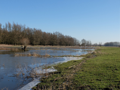 Hier nog een foto van de deels ondergelopen Groesplaat. Had achteraf gewoon laarzen moeten aantrekken. had me bijna 1 uur teruglopen gescheeld. Maar mooi was alles wel