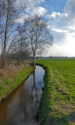 Tussen de motregen door was er af en toe een beetje zon. De foto is genomen om een uur of drie. De regenwolken verzamelden zich al.