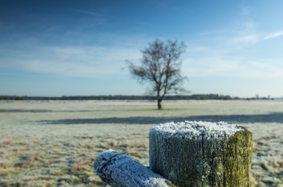Foto genomen tijdens een winterwandeling op de Strabrechtse Heide (omgeving Eindhoven) tijdens een van de zeldzame keren dat er sprake was van vorst van betekenis in zuid Nederland deze winter.