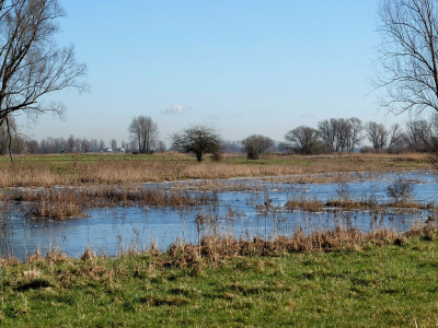 bij deze weer een upload van een korte serie van 7 .Heb natuurlijk veel meer foto's gemaakt, maar deze vond ik het meest beste . Laat maar weten wat jullie er van vinden en of het beter kan of juist gewoon niet.