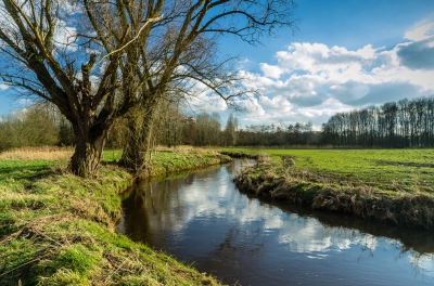 Aan de rand van de Strabrechtse Heide stroomt het riviertje "De Kleine Dommel. Bij mooi weer is dit zelfs in de winter als er ook een interessante wolkenlucht is die je in mee kunt nemen een interessant object voor een landschapsfoto.