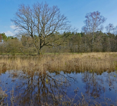 Een prachtige zonnige en heldere dag. De blauwe lucht reflecteert erg mooi i het water.