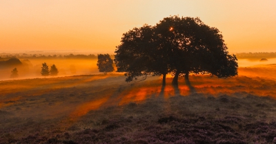 De zon komt op, en eventjes wordt alles heel erg mooi. Heel fijn om dat zo vast te kunnen leggen. We gaan de goede kant weer op, de koudste wintermaanden zijn weer voorbij. Laat de lente en de zomer maar weer komen!