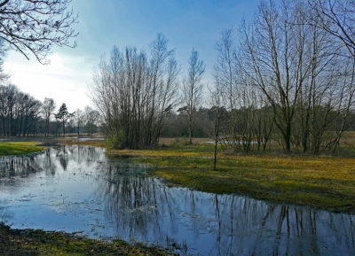 Het was een mooie zonnige dag. Helder weer. Het liep tegen het einde van de middag. Iets tegenlicht. Foto uit de hand genomen.