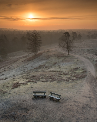 <i class='fa fa-user'></i>&nbsp;Bendiks Westerink&nbsp;|  Maasduinen&nbsp; <i class='fa fa-eye'>&nbsp;304</i> &nbsp;<i class='fa fa-thumbs-up'>&nbsp;11</i> &nbsp; <i class='fa fa-comment-o'>&nbsp;15</i>