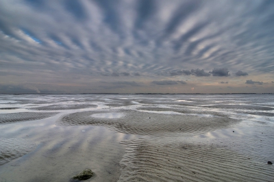 <i class='fa fa-user'></i>&nbsp;Matthijs&nbsp;|  Mooi wolkendek (2)&nbsp; <i class='fa fa-eye'>&nbsp;411</i> &nbsp;<i class='fa fa-thumbs-up'>&nbsp;18</i> &nbsp; <i class='fa fa-comment-o'>&nbsp;23</i>