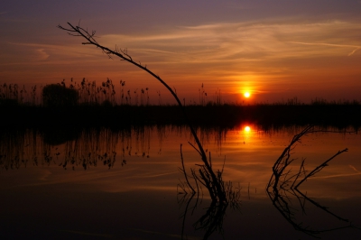 <i class='fa fa-user'></i>&nbsp;JPunit1&nbsp;|  Zonsopkomst&nbsp; <i class='fa fa-eye'>&nbsp;116</i> &nbsp; <i class='fa fa-comment-o'>&nbsp;6</i>