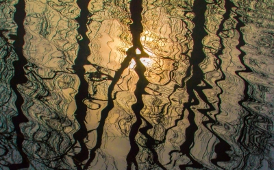 <i class='fa fa-user'></i>&nbsp;rvandijkzl&nbsp;|  Reflecties&nbsp; <i class='fa fa-eye'>&nbsp;126</i> &nbsp; <i class='fa fa-comment-o'>&nbsp;3</i>