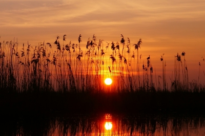 <i class='fa fa-user'></i>&nbsp;JPunit1&nbsp;|  Zonsopkomst&nbsp; <i class='fa fa-eye'>&nbsp;94</i> &nbsp; <i class='fa fa-comment-o'>&nbsp;3</i>