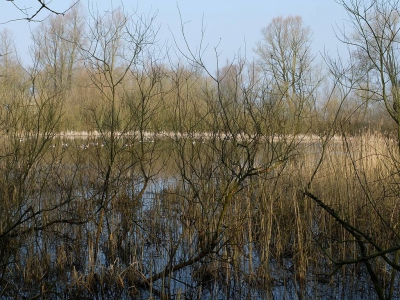 <i class='fa fa-user'></i>&nbsp;Gert-Jan&nbsp;|  Sleeuwijk&nbsp; <i class='fa fa-eye'>&nbsp;92</i> &nbsp; <i class='fa fa-comment-o'>&nbsp;1</i>