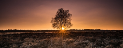 <i class='fa fa-user'></i>&nbsp;Niels Prinsen&nbsp;|  Zonsondergang op de Ginkelse heide&nbsp; <i class='fa fa-eye'>&nbsp;217</i> &nbsp;<i class='fa fa-thumbs-up'>&nbsp;4</i> &nbsp; <i class='fa fa-comment-o'>&nbsp;10</i>