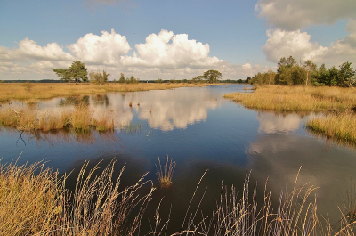 <i class='fa fa-user'></i>&nbsp;frbeuming&nbsp;|  Landschap&nbsp; <i class='fa fa-eye'>&nbsp;148</i> &nbsp; <i class='fa fa-comment-o'>&nbsp;3</i>
