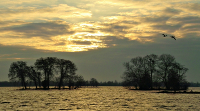 <i class='fa fa-user'></i>&nbsp;B.M.Schouten-Ruis&nbsp;|  Reeuwijkse plas&nbsp; <i class='fa fa-eye'>&nbsp;162</i> &nbsp; <i class='fa fa-comment-o'>&nbsp;9</i>