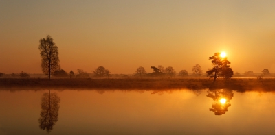 Vanmorgen vroeg op pad gegaan in de hoop op een mooie zonsopkomst en te proberen de vroege ochtendzon vast te leggen bij een ven.