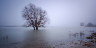 <i class='fa fa-user'></i>&nbsp;bentom&nbsp;|  Mist in rivierenland&nbsp; <i class='fa fa-eye'>&nbsp;169</i> &nbsp;<i class='fa fa-thumbs-up'>&nbsp;2</i> &nbsp; <i class='fa fa-comment-o'>&nbsp;9</i>