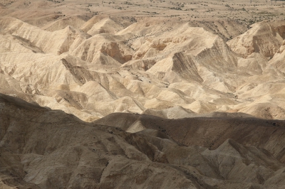 <i class='fa fa-user'></i>&nbsp;Ben Aalders&nbsp;|  Negev woestijn&nbsp; <i class='fa fa-eye'>&nbsp;118</i> &nbsp; <i class='fa fa-comment-o'>&nbsp;4</i>