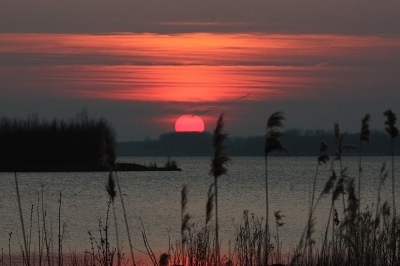 Al wandelend bij strand Nulde zag ik de oranje zon steeds verder zakken , samen met de mooie oranje lucht was dit prachtig om te zien.