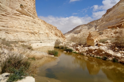 <i class='fa fa-user'></i>&nbsp;Ben Aalders&nbsp;|  En Avedat National Park&nbsp; <i class='fa fa-eye'>&nbsp;152</i> &nbsp;<i class='fa fa-thumbs-up'>&nbsp;2</i> &nbsp; <i class='fa fa-comment-o'>&nbsp;6</i>
