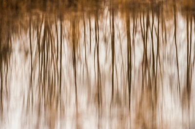 <i class='fa fa-user'></i>&nbsp;plaatjesmaker&nbsp;|  Weerspiegeling&nbsp; <i class='fa fa-eye'>&nbsp;80</i> &nbsp; <i class='fa fa-comment-o'>&nbsp;1</i>