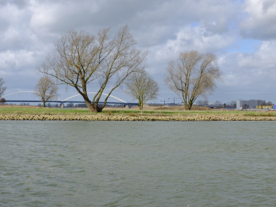 <i class='fa fa-user'></i>&nbsp;Gert-Jan&nbsp;|  Landschap&nbsp; <i class='fa fa-eye'>&nbsp;96</i> &nbsp; <i class='fa fa-comment-o'>&nbsp;4</i>