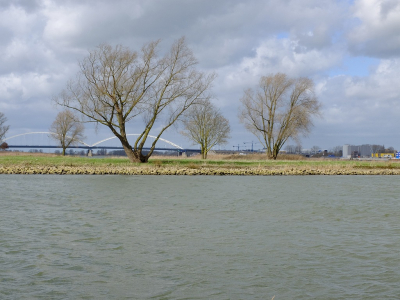 Hier een blik op Natuurgebied de Sleeuwijkerwaard gemaakt van af het havenhoofd van Sleeuwijk. Op de achtergrond zie je de Merwedebrug met daar achter de torenkranen van scheepswerf Damen in Gorinchem