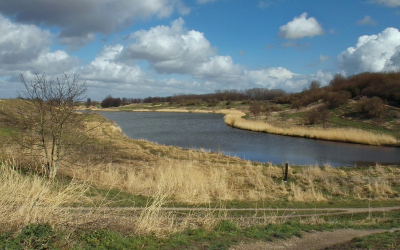 <i class='fa fa-user'></i>&nbsp;B.M.Schouten-Ruis&nbsp;|  Landschap&nbsp; <i class='fa fa-eye'>&nbsp;111</i> &nbsp; <i class='fa fa-comment-o'>&nbsp;5</i>
