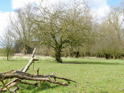 <i class='fa fa-user'></i>&nbsp;Gert-Jan&nbsp;|  Landschap&nbsp; <i class='fa fa-eye'>&nbsp;100</i> &nbsp; <i class='fa fa-comment-o'>&nbsp;1</i>