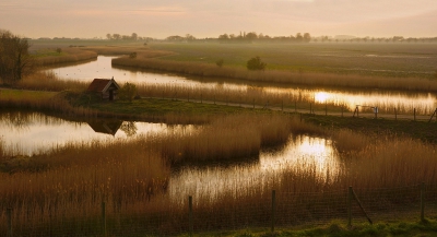 <i class='fa fa-user'></i>&nbsp;Nel R&nbsp;|  Rietlandschap&nbsp; <i class='fa fa-eye'>&nbsp;142</i> &nbsp;<i class='fa fa-thumbs-up'>&nbsp;10</i> &nbsp; <i class='fa fa-comment-o'>&nbsp;14</i>