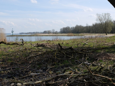 Zondag Jl. een flinke wandeling gemaakt langs de rivier.Een rivier die in de winter maanden bij hoogwaterstanden van alles mee neemt en weer achterlaat als zij zich weer in haar bedding heeft terug getrokken, en waar zomers mensen van de achtergelaten houtresten vuurtjes stoken .rivier en mensen . Soms elkaars vrieden en soms elkaars vijanden . De Rivier .Dynamische natuur in optima forma