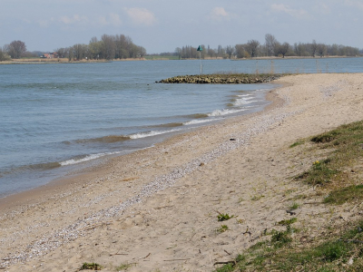 Bij het struinen langs de rivierbedding in een natuurgebied vlak bij ons huis .Heb ik een aantal foto's kunnen maken.Dit is er een van .De golven en het ruisen van het water dat  op het strand stuk liep maakten mij melancholisch.