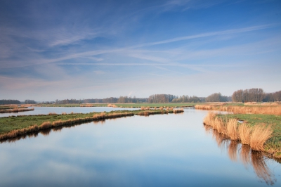 <i class='fa fa-user'></i>&nbsp;kiran&nbsp;|  Frisse ochtend in het Twiske&nbsp; <i class='fa fa-eye'>&nbsp;95</i> &nbsp; <i class='fa fa-comment-o'>&nbsp;1</i>