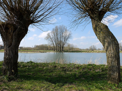 <i class='fa fa-user'></i>&nbsp;Gert-Jan&nbsp;|  Rivierlandschap&nbsp; <i class='fa fa-eye'>&nbsp;103</i> &nbsp;<i class='fa fa-thumbs-up'>&nbsp;1</i> &nbsp; <i class='fa fa-comment-o'>&nbsp;7</i>