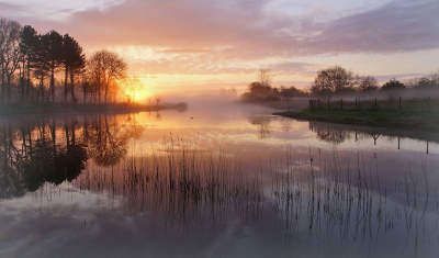 <i class='fa fa-user'></i>&nbsp;Nel R&nbsp;|  Zonsopkomst&nbsp; <i class='fa fa-eye'>&nbsp;181</i> &nbsp;<i class='fa fa-thumbs-up'>&nbsp;10</i> &nbsp; <i class='fa fa-comment-o'>&nbsp;10</i>
