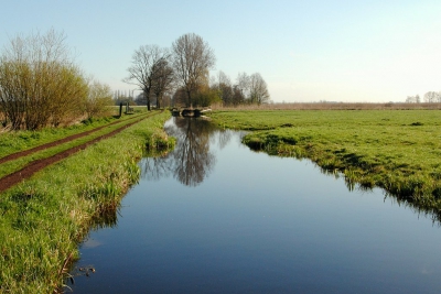 <i class='fa fa-user'></i>&nbsp;kooyammers&nbsp;|  Graafkade Berkenwoude&nbsp; <i class='fa fa-eye'>&nbsp;47</i> &nbsp; <i class='fa fa-comment-o'>&nbsp;0</i>