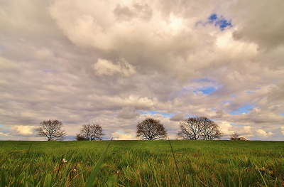 <i class='fa fa-user'></i>&nbsp;frbeuming&nbsp;|  Landschap&nbsp; <i class='fa fa-eye'>&nbsp;126</i> &nbsp; <i class='fa fa-comment-o'>&nbsp;4</i>