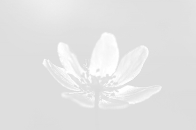 <i class='fa fa-user'></i>&nbsp;gertjan&nbsp;|  Bosanemoon&nbsp; <i class='fa fa-eye'>&nbsp;124</i> &nbsp;<i class='fa fa-thumbs-up'>&nbsp;2</i> &nbsp; <i class='fa fa-comment-o'>&nbsp;1</i>