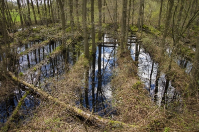 <i class='fa fa-user'></i>&nbsp;Henri van Vliet&nbsp;|  Broekbos&nbsp; <i class='fa fa-eye'>&nbsp;128</i> &nbsp; <i class='fa fa-comment-o'>&nbsp;2</i>