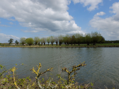 Vandaag de wandeling gemaakt, die ik voor afgelopen zondag op de planning had staan, maar ja toen ik weg wilde gaan en de camera controleerde bleek de accu leeg te zijn  GRR. Maar vandaag dus een nieuwe kans oordeel zelf maar over het resultaat. De eerste uit de serie is een uit zicht op de Groesplaat