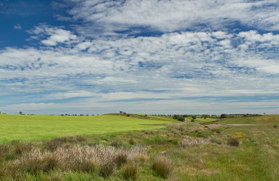 <i class='fa fa-user'></i>&nbsp;nelappelmelk&nbsp;|  De steppe in Alentejo&nbsp; <i class='fa fa-eye'>&nbsp;131</i> &nbsp; <i class='fa fa-comment-o'>&nbsp;8</i>