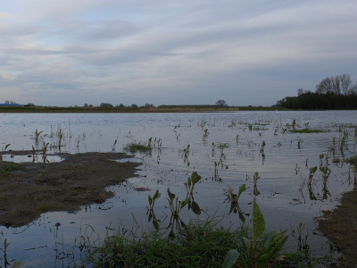 <i class='fa fa-user'></i>&nbsp;Gert-Jan&nbsp;|  Biesbosch&nbsp; <i class='fa fa-eye'>&nbsp;66</i> &nbsp; <i class='fa fa-comment-o'>&nbsp;2</i>