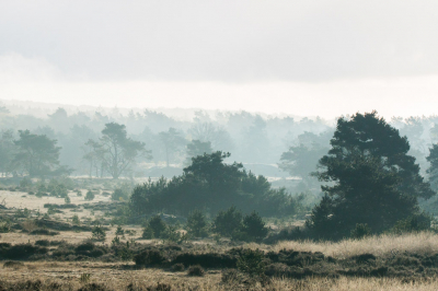 <i class='fa fa-user'></i>&nbsp;joeribeekhuizen&nbsp;|  Sfeer in het landschap&nbsp; <i class='fa fa-eye'>&nbsp;128</i> &nbsp; <i class='fa fa-comment-o'>&nbsp;3</i>