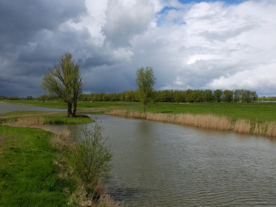 Vandaag tussen de buien door een wandeling gemaakt over de Groesplaat . De felle voorjaarskleuren blijven mooi.
op net nippertje een nat pak kunnen voorkomen