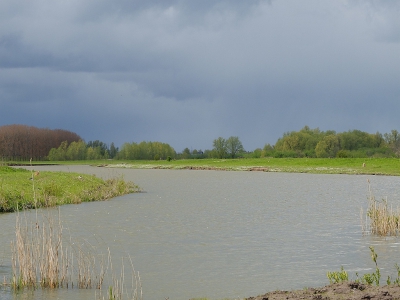 Tijdens koningsdag tussen de buien door een wandeling gemaakt door de Groesplaat . een mooie gebied waar ik graag kom.