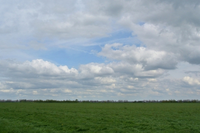 <i class='fa fa-user'></i>&nbsp;Bert Veerman&nbsp;|  Kaal en Moerassig&nbsp; <i class='fa fa-eye'>&nbsp;58</i> &nbsp; <i class='fa fa-comment-o'>&nbsp;0</i>